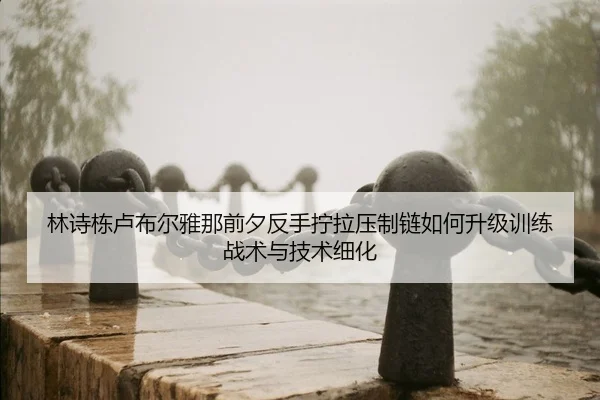 lin-shi-dong-lu-bu-er-ya-na-qian-xi-fan-shou-ning-la-ya-zhi-lian-ru-he-sheng-ji-xun-lian-zhan-shu-yu-ji-shu-xi-hua-2-820.jpg